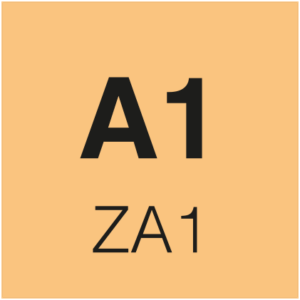 A1