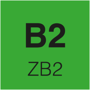 B2